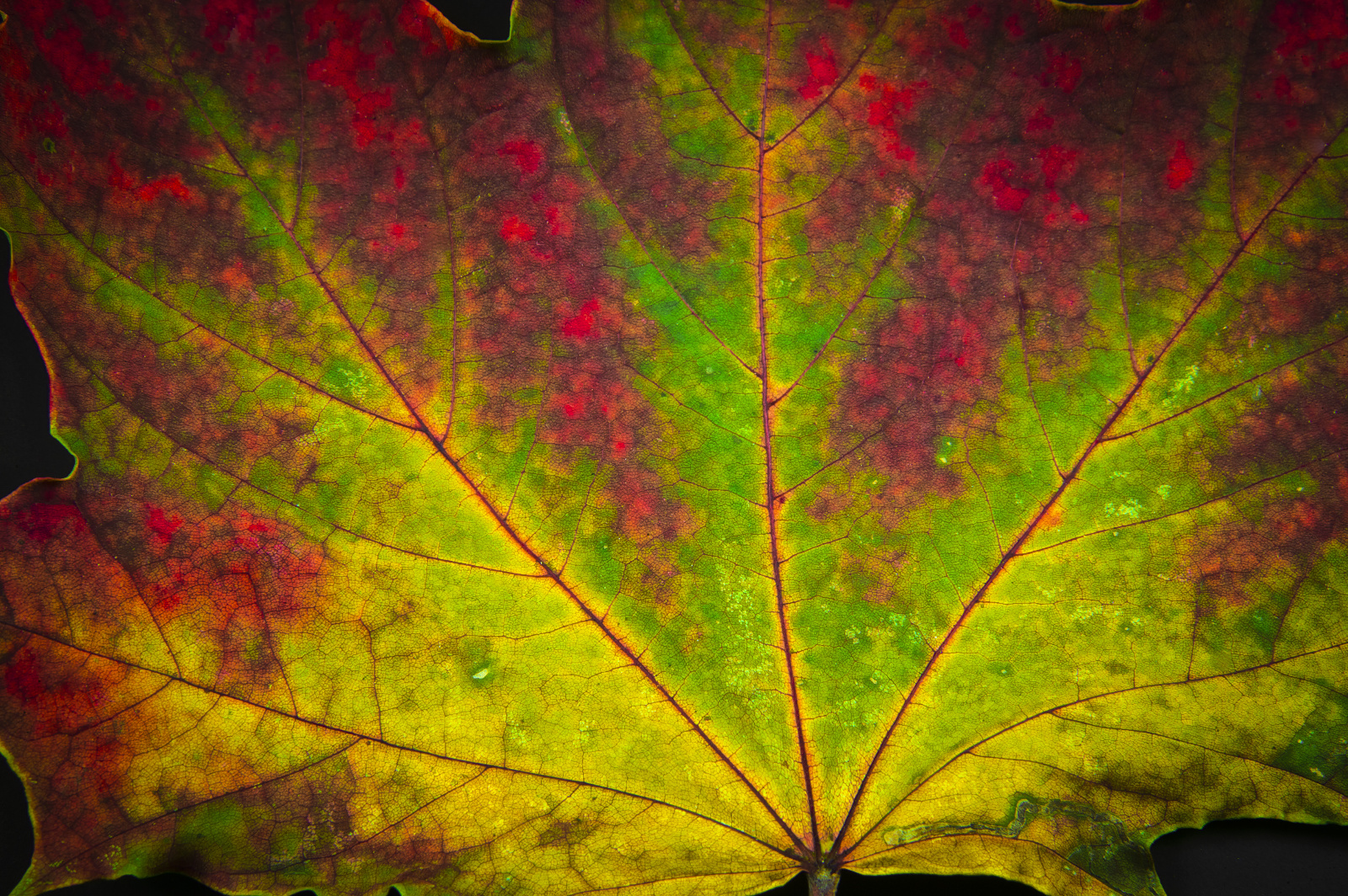 20DU5335 (10 von 74) (1)